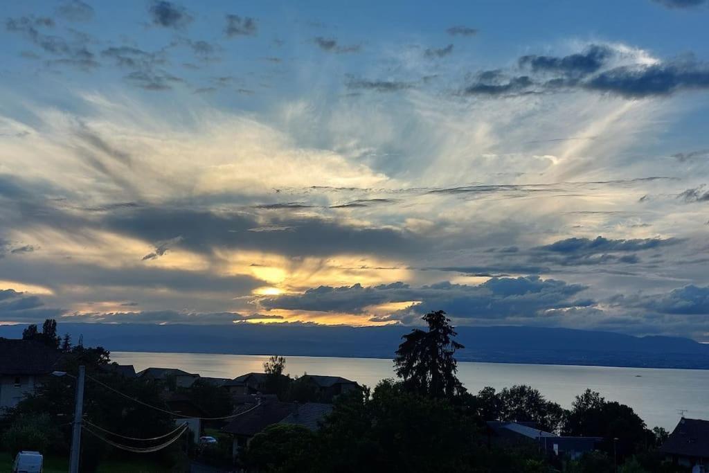 Appart Cosy Avec Vue Sur Le Lac Leman Эвиан-ле-Бен Экстерьер фото